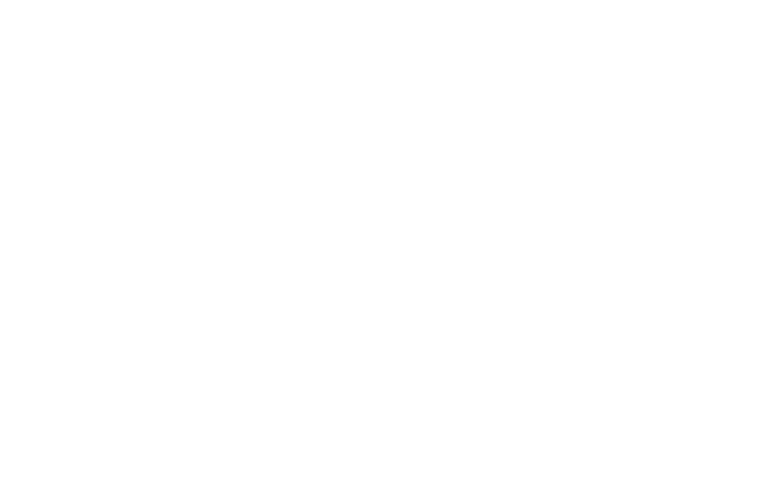 MXDVS Logo