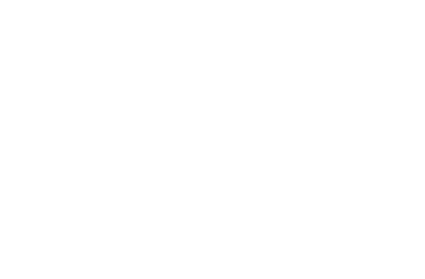 MXDVS Logo